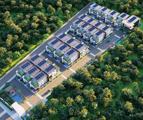 Green Neighborhood
